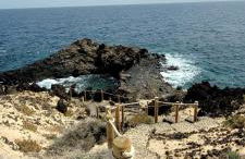 Villa Harmony - Foto 29