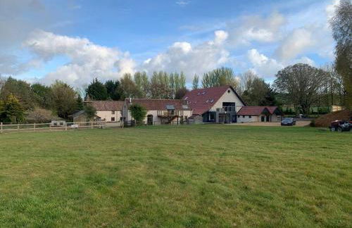 A spacious rural apartment with alpacas to enjoys - Foto 5