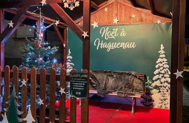 Nid d'émeraude - Votre escale cosy à Haguenau - Foto 27