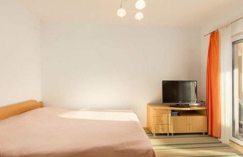 Put Maslina 7 - Foto 7