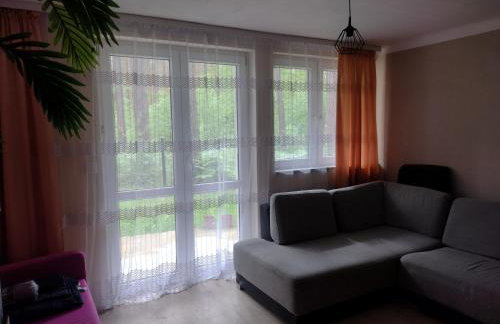 Positive energy 3 - Foto 10