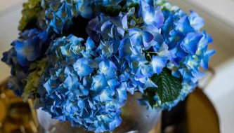 Ortenca Apartment - Photo 5