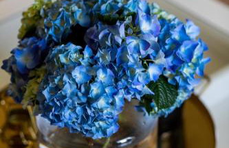 Ortenca Apartment - Photo 5