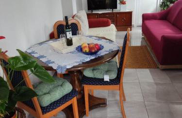 Apartman David-Dražice - Foto 4