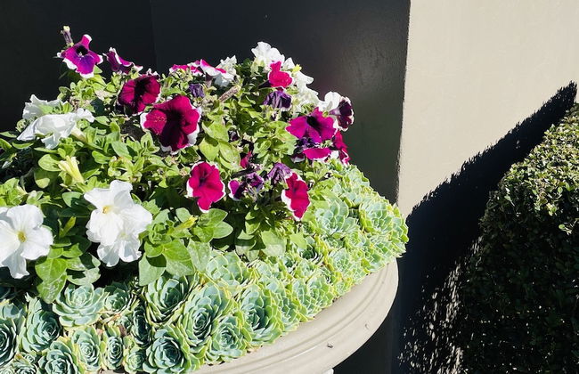 Gallery Apartments - Foto 35