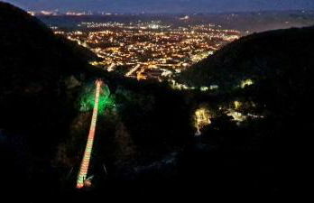 Mazamet : Résidence du Musée centre ville. - Photo 8