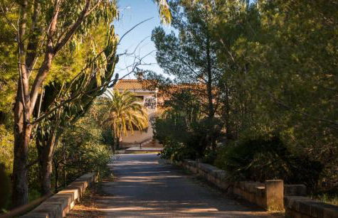 Finca Ceguer MHM - Photo 68