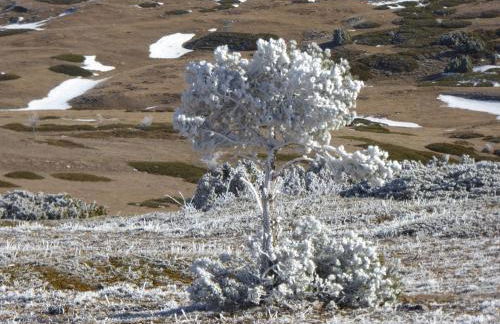 Casa rural La Sabina - Foto 37