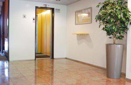 Home & Pet - Fiori - Foto 24