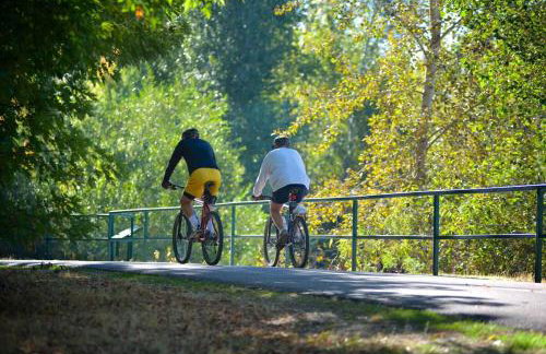 Morning Star Cottage with RV parking in Star Idaho - Foto 40