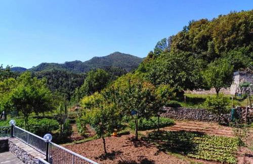 Casa Natale - Foto 33