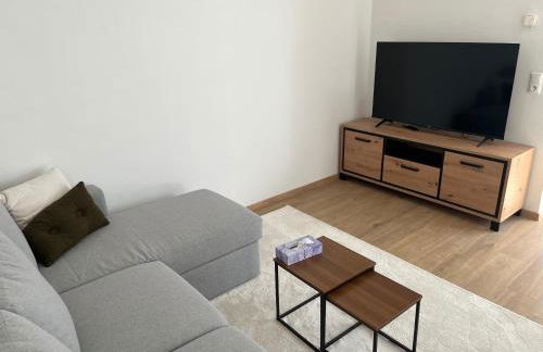 Rheintraum Soutterain Wohnung mit Sauna - Foto 10