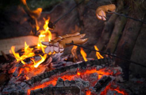 Ranzinger Hof - Foto 21