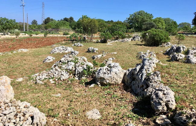 Agriturismo Le Fornelle - Foto 40