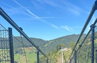 Ferienwohnung Schwarzwald - Foto 24