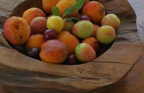 Vila Marija - Photo 45