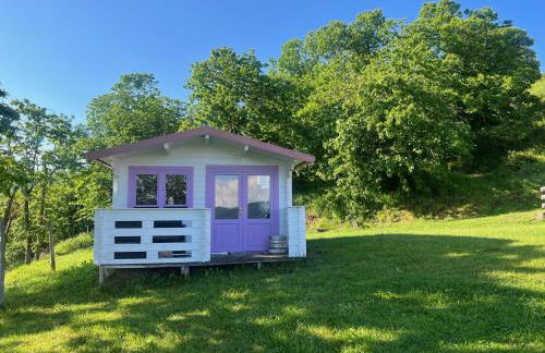 Il Serrino 2 - Foto 25