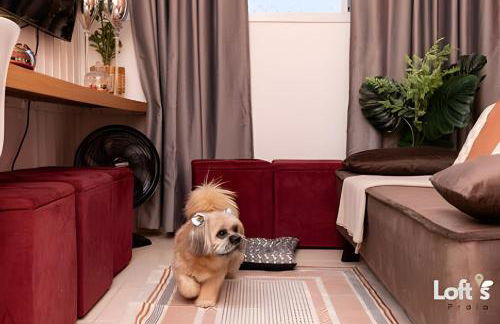 LoftsPraia Apartamento zona sul perto Praia Clube Elegânce. - Foto 9