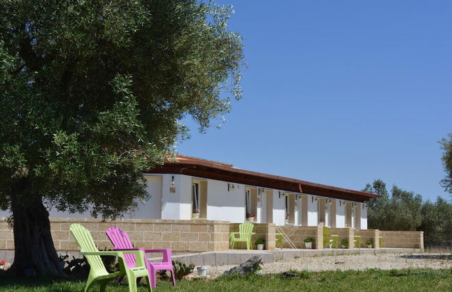 Agriturismo Terra D'Ulivi - Foto 57