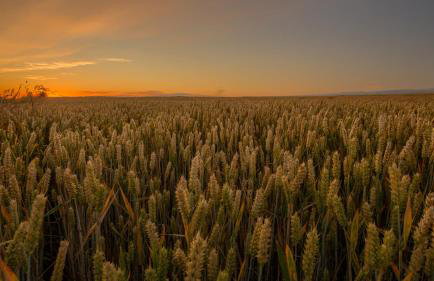 Jerzwałd 14 - Foto 15