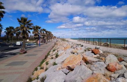 Appartements dans résidence Avec piscine - Mer à 500m - Foto 16