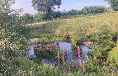 Blaengwen Bach - Photo 15