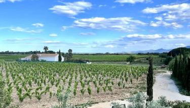 Maison au coeur des vignes - Foto 4