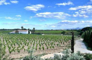 Maison au coeur des vignes - Foto 4