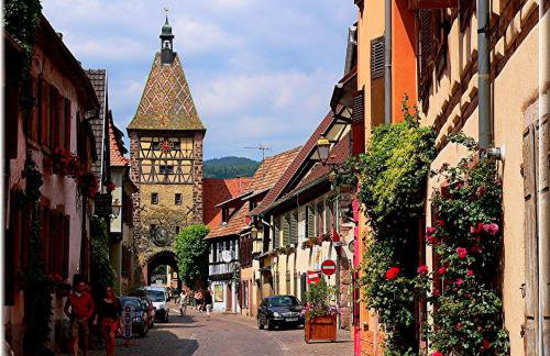 S'Harzala Rouge - Foto 14