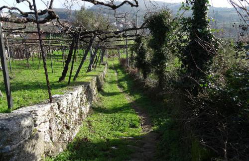 Quinta de S. Cipriano - Foto 20