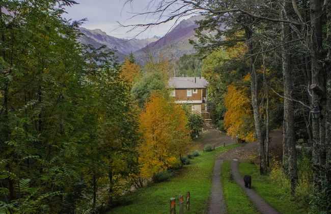 Cabañas Villa Pañil - Foto 60