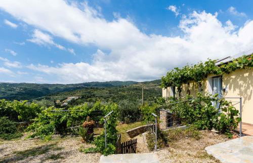 Apartment Garden by Interhome - Foto 36