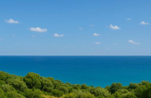 Coastal Haven - Steps From Beach - Photo 12