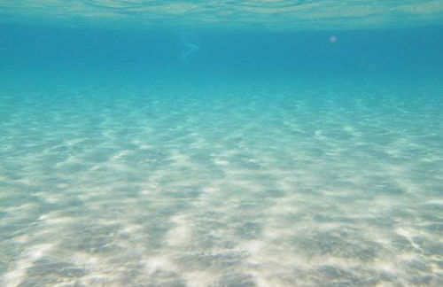 Annousa's House & Studios - Photo 74