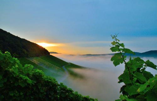 Winzerhof Düring - Foto 1