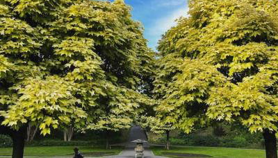 Seashell Apartment - Central location - Foto 3