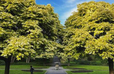 Seashell Apartment - Central location - Foto 3