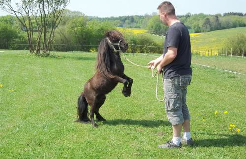 Gite Du Colombier - Foto 30