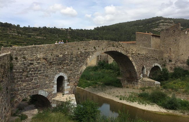 Tour di un giorno al villaggio di Lagrasse e all'Abbazia di Fontfroide. Tour privato da Carcassonne. - Foto 3