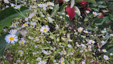 Grande appartamento indipendente - Foto 2