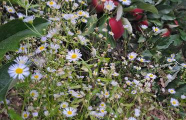 Grande appartamento indipendente - Foto 2