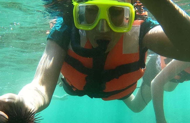 Snorkeling at Las Gatas Beach - Photo 1