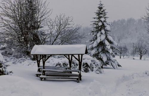 Pumphuts Scheune Ferienwohnungen Nr 1 - 4 beim Freizeitpark Plohn - Foto 64