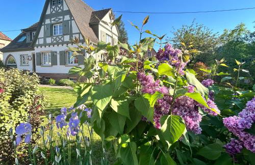 Le Hêtre Rouge - Écureuil et Geai Charme & Spa Alsace - Photo 1