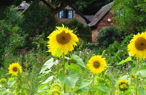 Saint Pancras Chapel - Foto 57