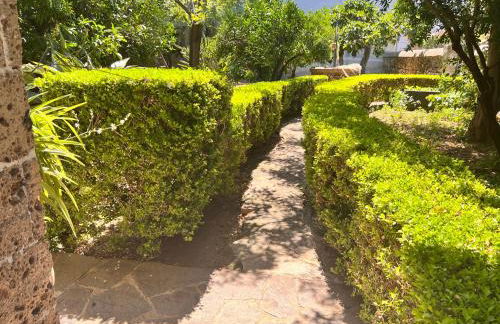 IL Rustico di Giò - Foto 28