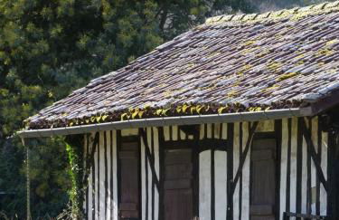 Appart Cosy Green, Océan, Golf, Piscine, Wifi - Foto 56