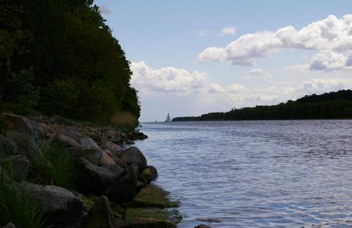 Agroturystyka Pod Brzozami - Photo 22