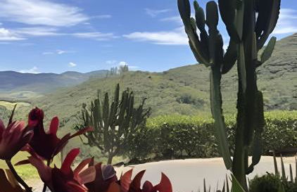 Chalé Recanto Santo Anjo - Foto 48