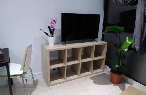 Studio de l'orchidée - Foto 1